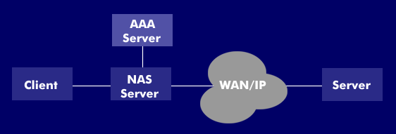AAA server in combination with NAS server