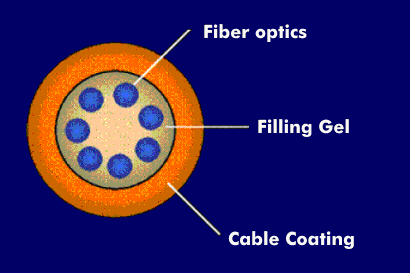 Structure of the loose tube