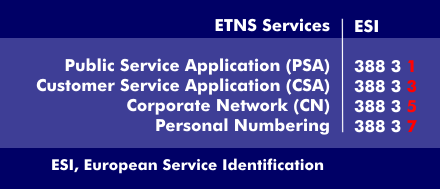 Structure of the ETNS number