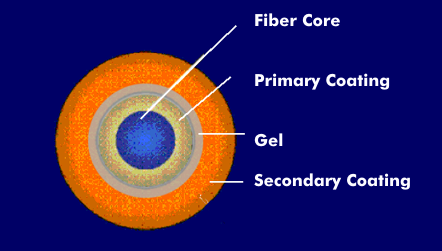 Structure of the compact core