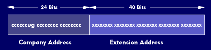 Structure of the EUI-64 address format of the IEEE