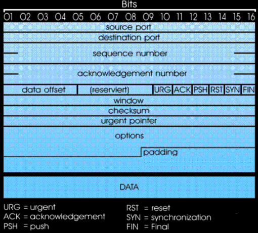 Structure of the TCP data frame