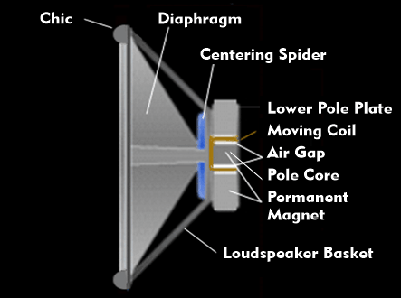 Structure of the plunger coil loudspeaker