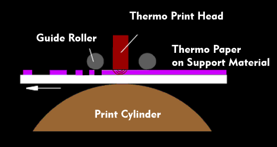 Structure of the direct thermal printer