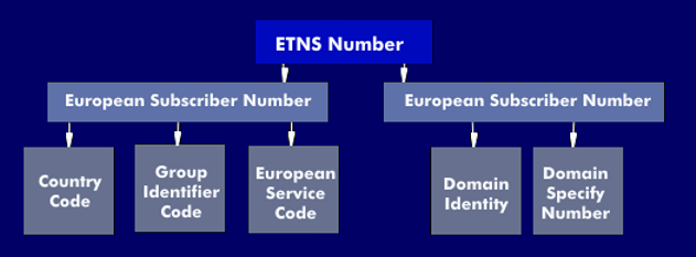 Structure of the European Numbering Space (ETNS)