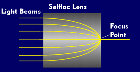 Structure of a Selfoc lens