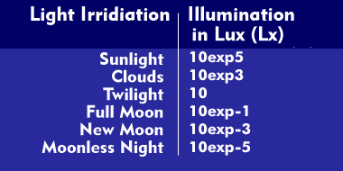 Illuminance at different incidence of light
