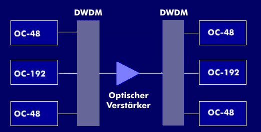 DWDM-System mit optischem Verstärker