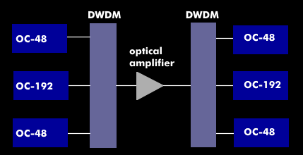 DWDM system with optical amplifier