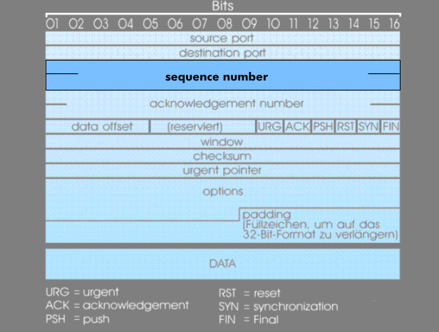 Datenfeld für die Sequenznummer im TCP-Header