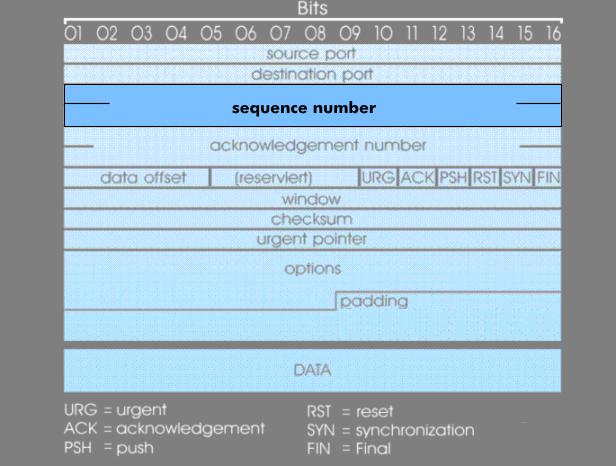 Data field for the sequence number in the TCP header