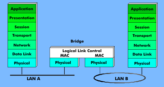 The bridge function in the OSI reference model when connecting two LANs.