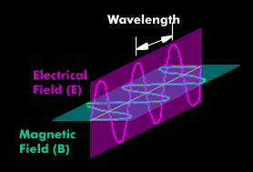 The electric and magnetic fields of electromagnetic waves
