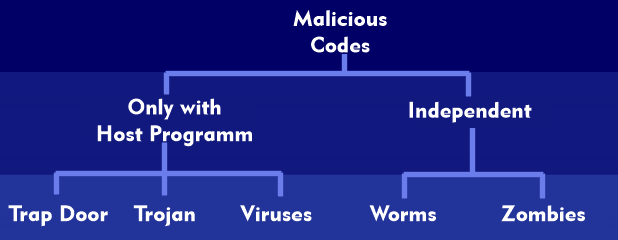 The different forms of malicious code