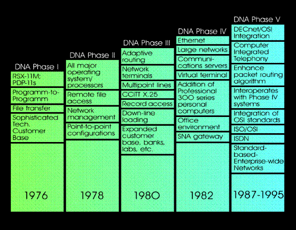 Die verschiedenen Phasen von DNA