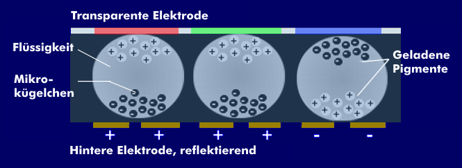 Elektrophorese-Prinzip mit in Flüssigkeit gelagerten Mikro-Kügelchen