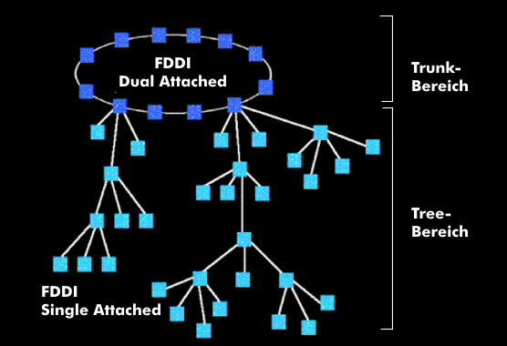 FDDI-Topologie mit Trunk- und Tree-Bereich