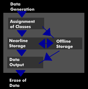 Functional model of ILM