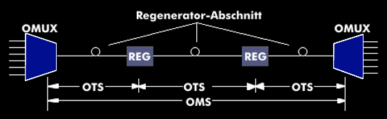 Multiplex-Abschnitt in einem optischen Netzwerk (OTH)