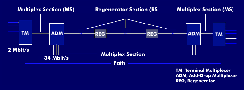 Multiplex Section, Regenerator Section und Path in SDH