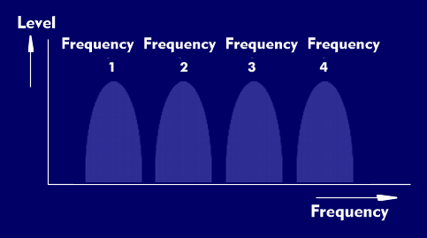 Prinip of FDMA with multiple frequency channels