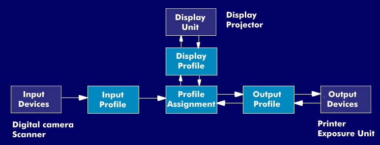 Profile assignment in color management systems
