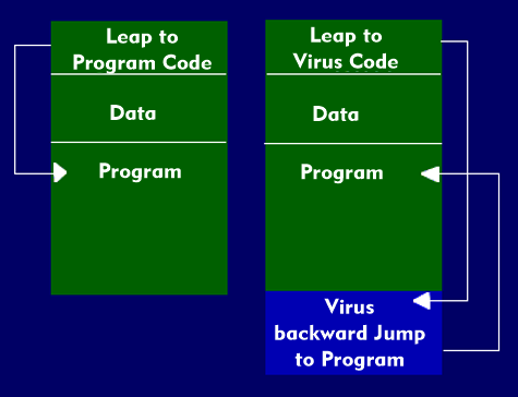Program sequence without and with virus program 