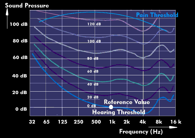 Pain threshold and hearing threshold in the hearing characteristic