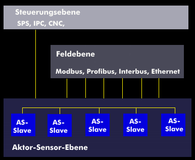 Struktur des AS-Interface