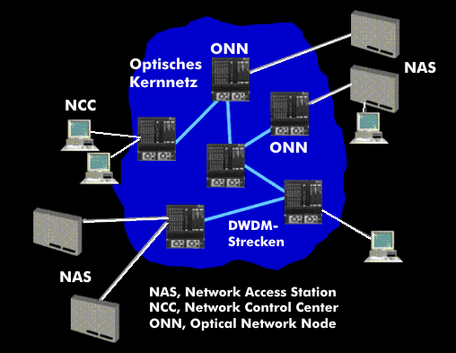 Struktur eines optischen Kernnetzes mit DWDM-Strecken