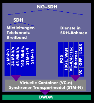 Struktur von NG-SDH