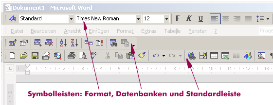 Toolbars under MS-Word