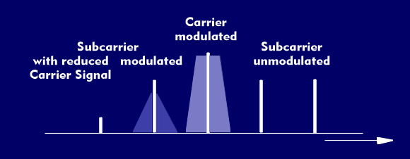 Carriers with modulated and unmodulated subcarriers