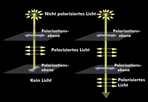Unpolarisiertes Licht beim Durchgang durch verschiedene Polarisationsebenen