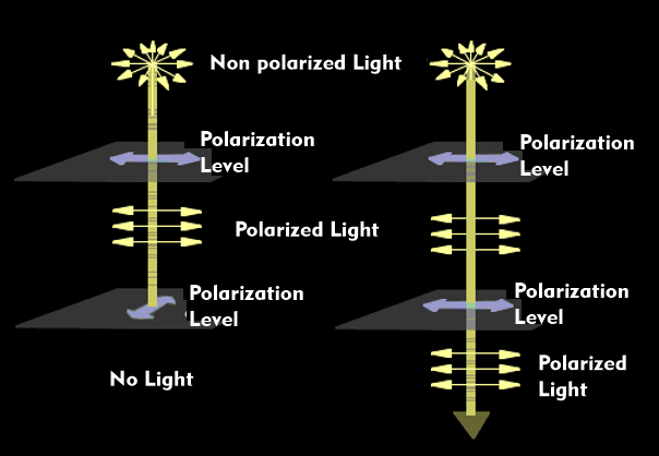 Unpolarized light passing through different polarization planes