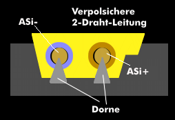 Verpolsichere 2-Draht-Leitung vom AS-Interface